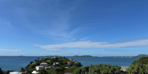 Frank Bay pool view